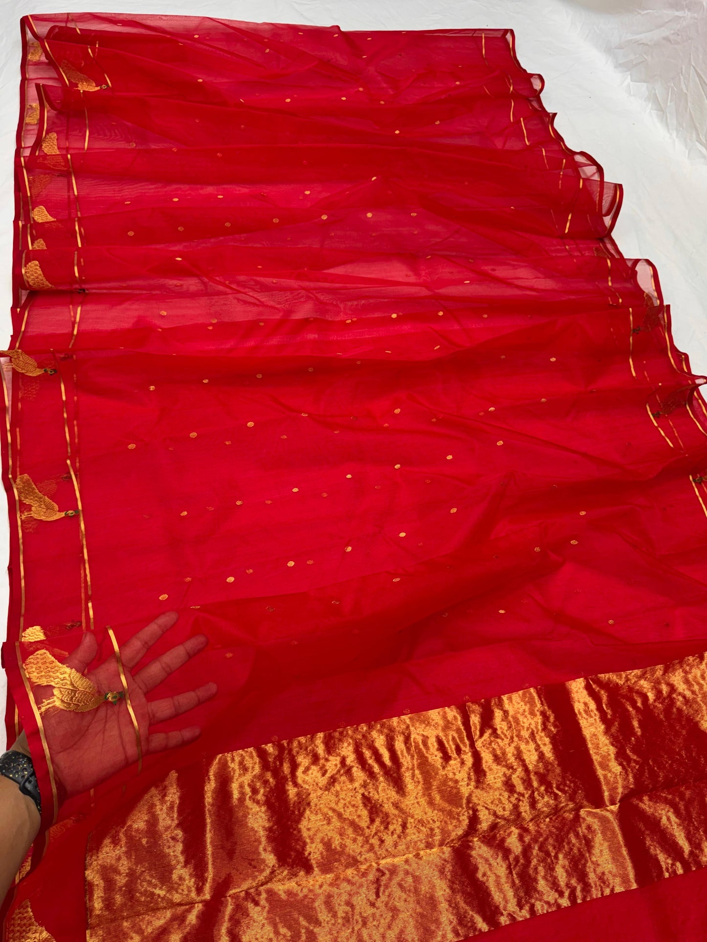 Raspberry red Chanderi Katan Silk saree draped with repeated peacock motif border and gold woven pallu