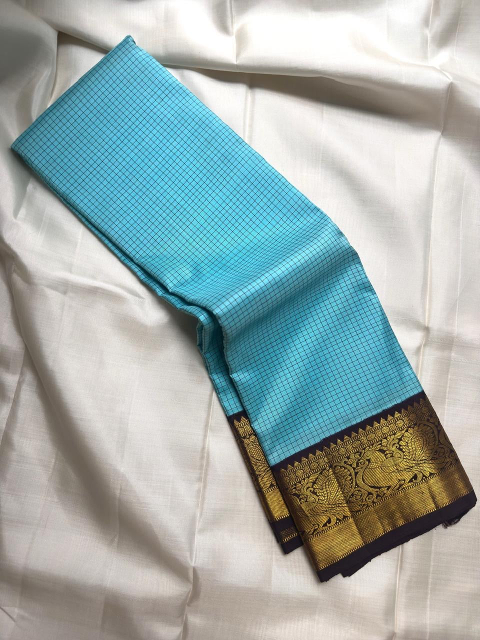 Robin's egg blue handwoven pure silk Kancheepuram saree with black silk checks and Yazhi border, full view