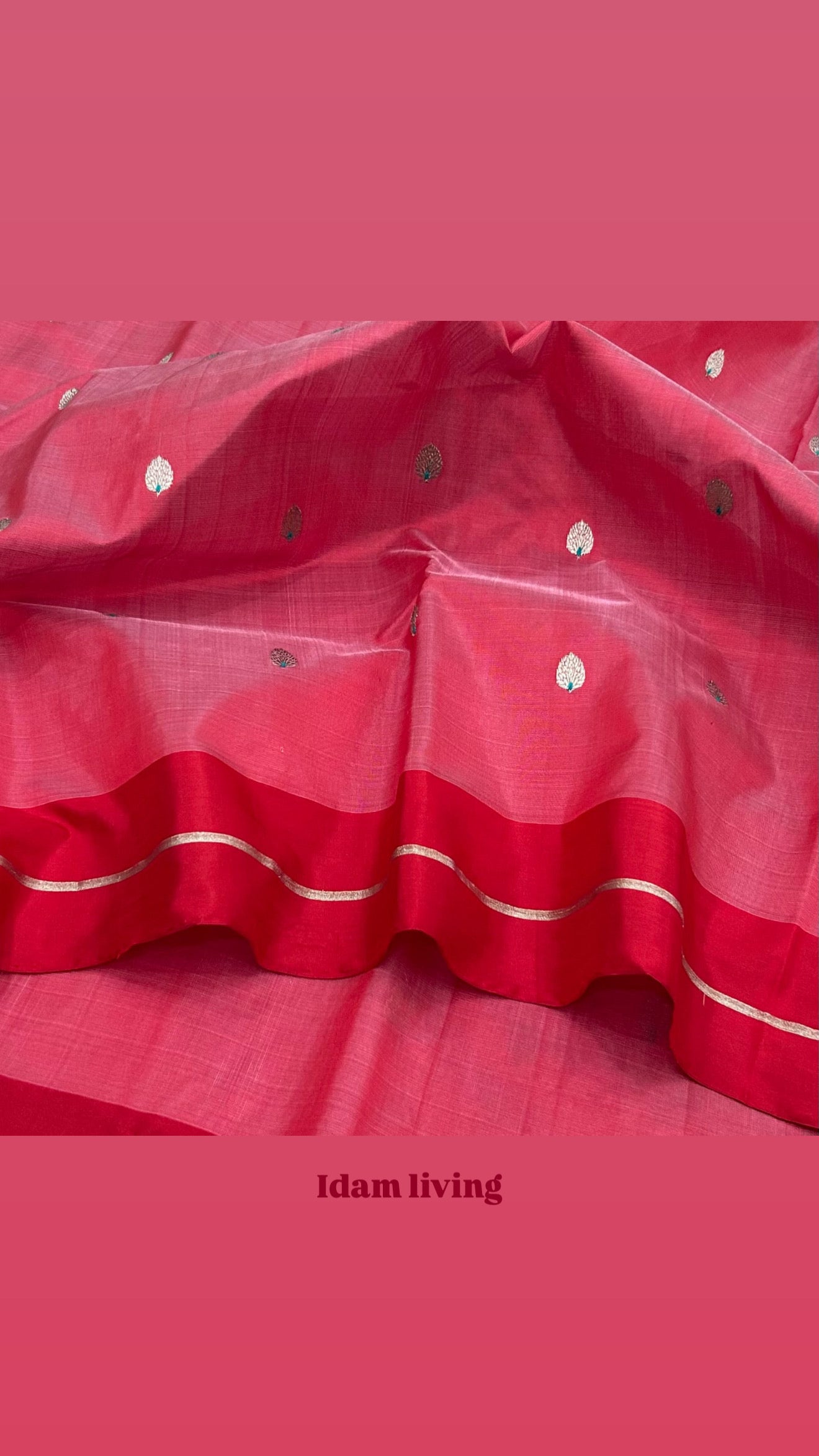 Rose pink handloom Pattu Silk Chanderi saree draped to show the silk's soft sheen and red border detailing