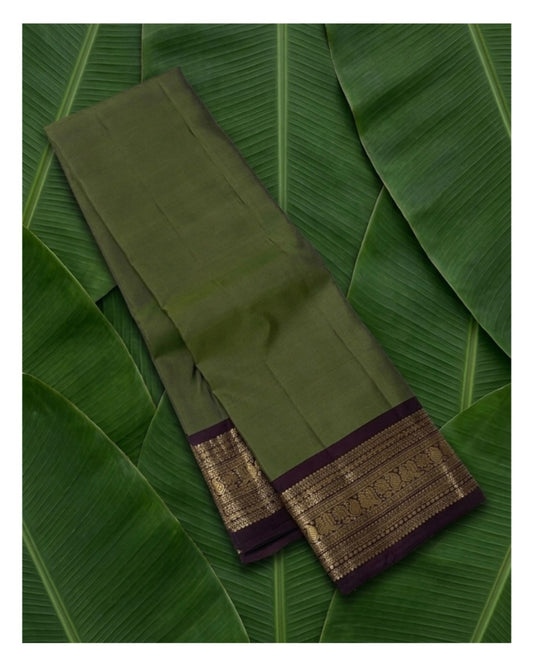 Full view of sage green lightweight pure silk Kanchipuram saree with plum varisaipet border — Idam Living