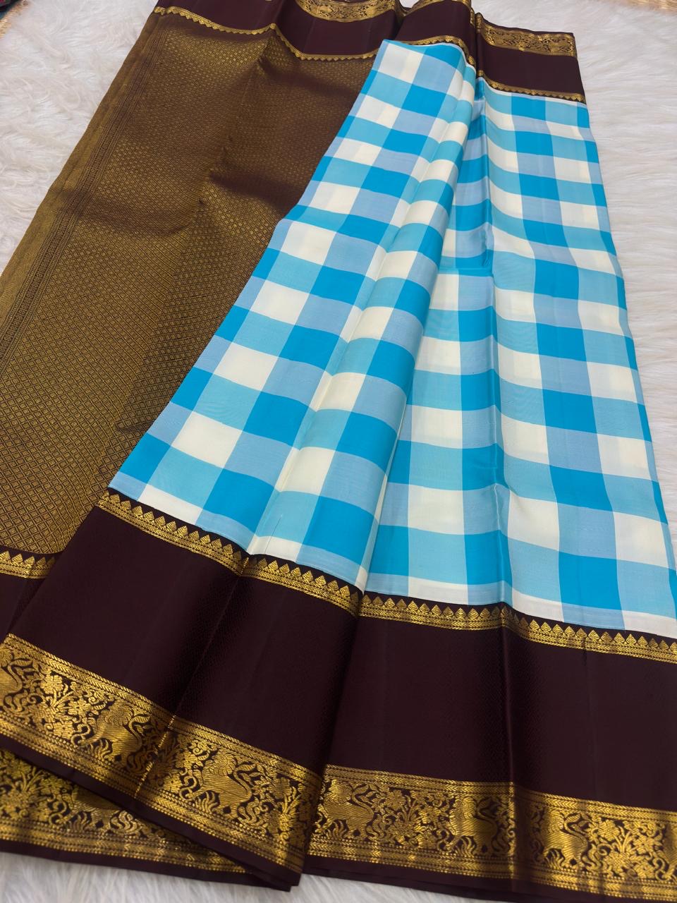 Sky blue and ivory checks of a Paalum Pazhamum Kanchipuram saree.