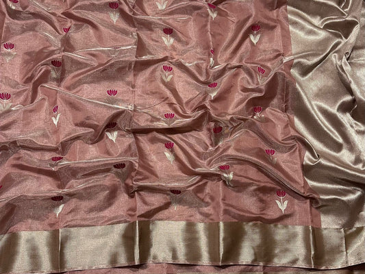 Blush Gold Pure Silk Chanderi Saree draped view with Antique Gold Border