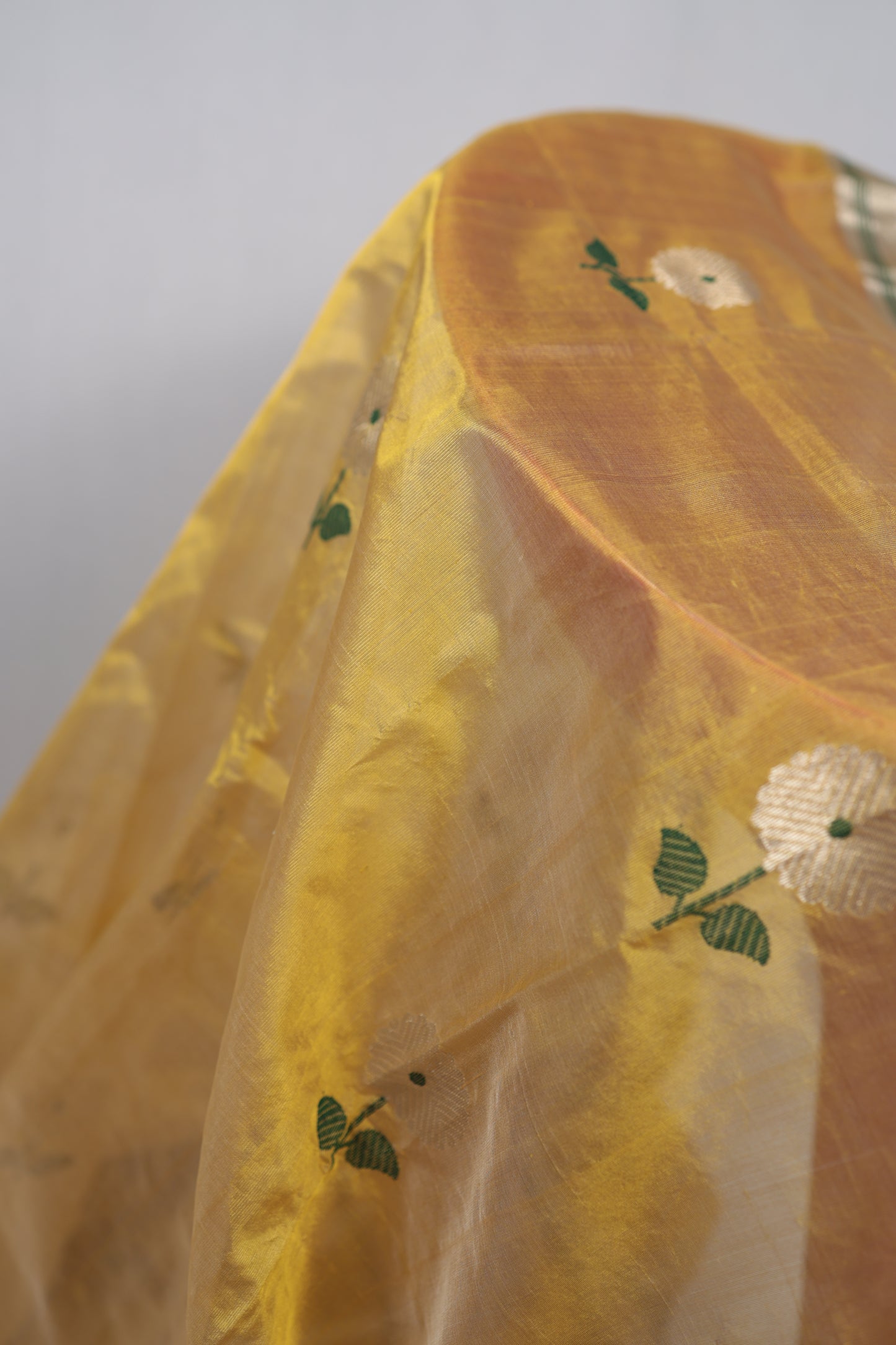 Sunflower yellow Chanderi silk saree draped in a studio setting, showing sheer texture, white floral buttas, and a gold zari border with green stripes.