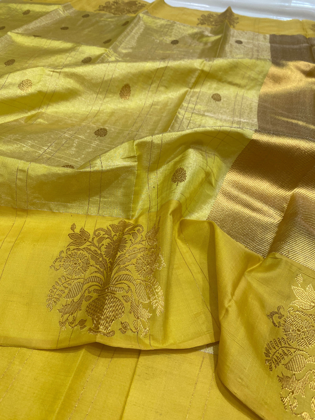 Full view of Turmeric Gold Tissue Pattu Silk Chanderi saree with ornamental floral border and antique-gold pallu