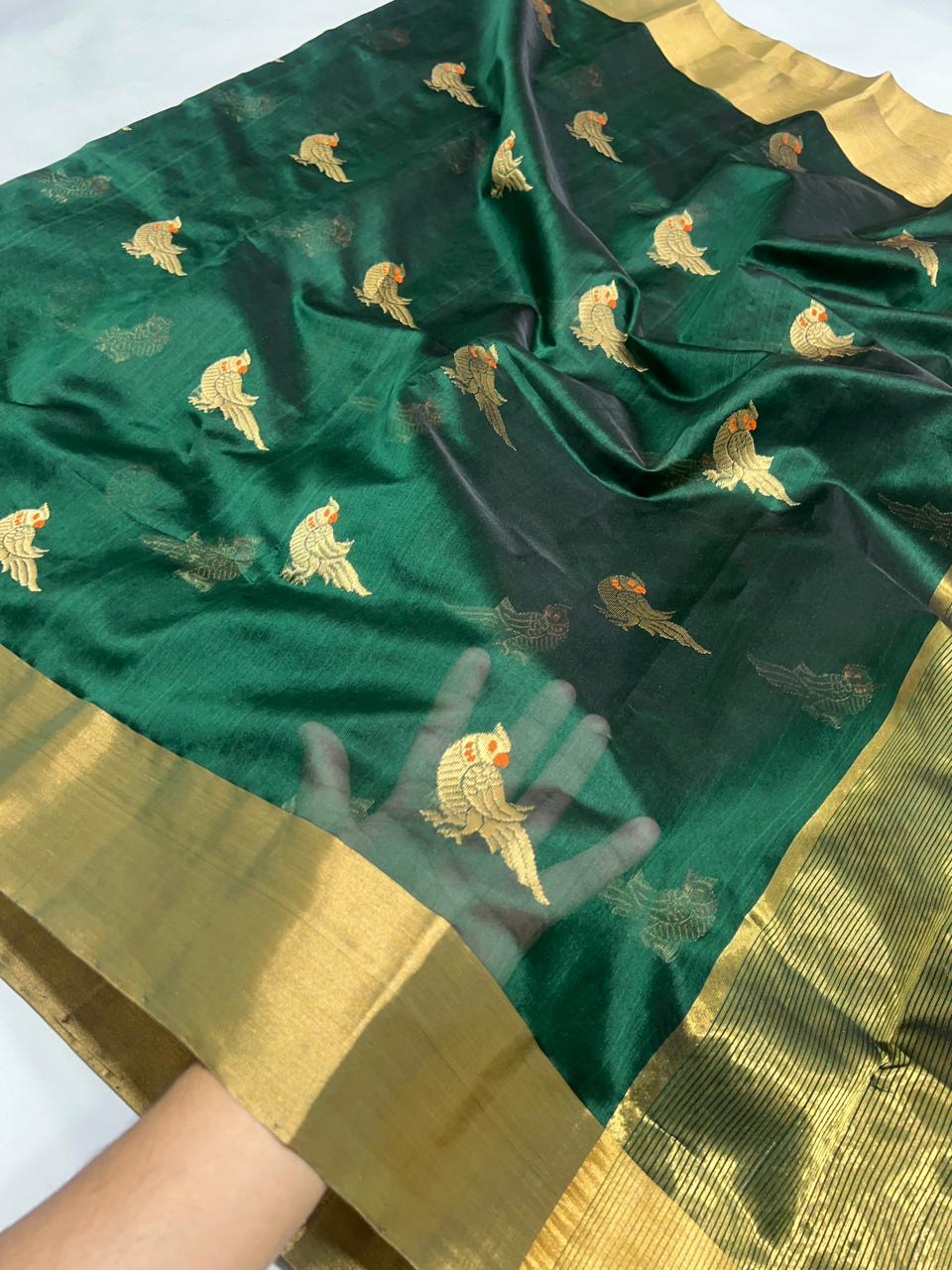 Pure silk Chanderi saree with delicate parrot-inspired woven motifs and classic gold zari accents
