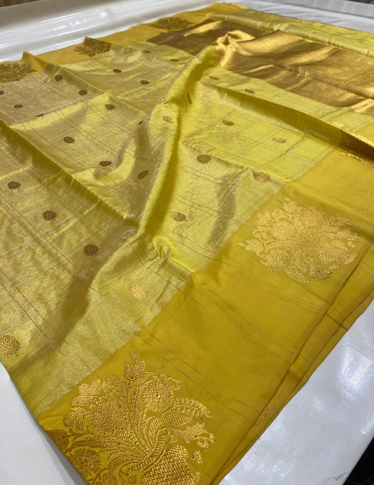 Turmeric Gold Tissue Pattu Silk Chanderi saree with gold buttas, fine checks and ornamental floral border