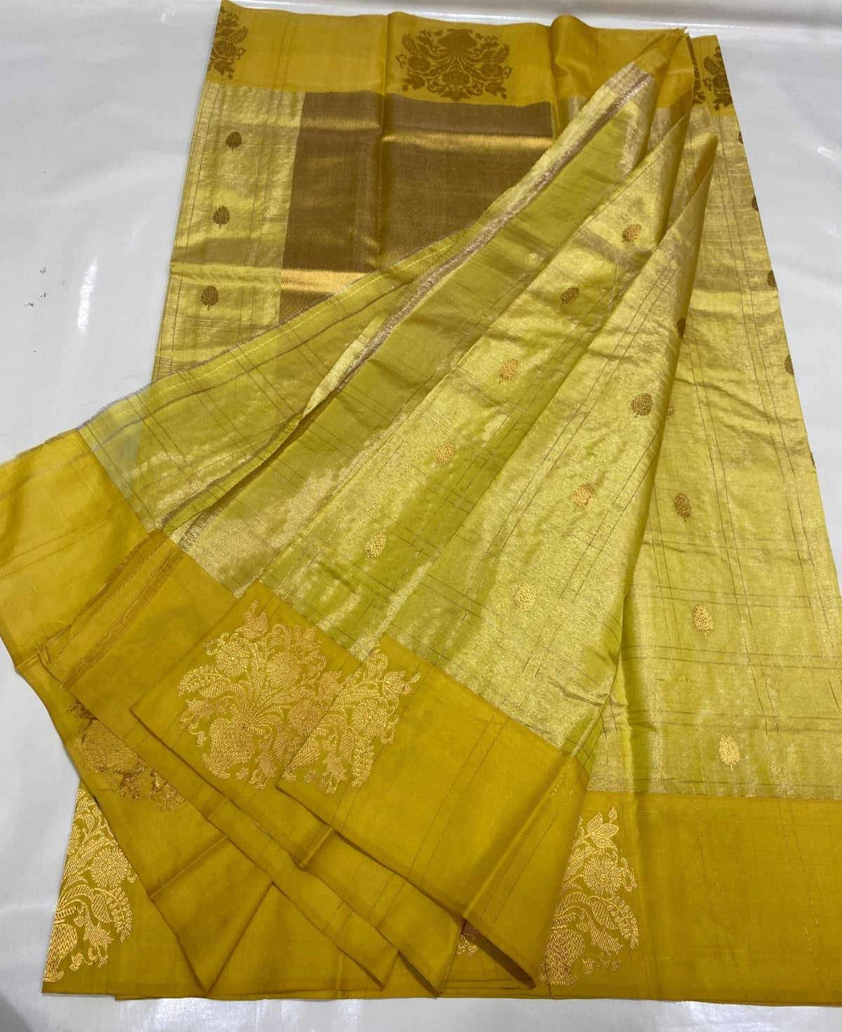 Mustard yellow handloom Chanderi saree draped to show luminous tissue body, gold pallu and large woven border motifs