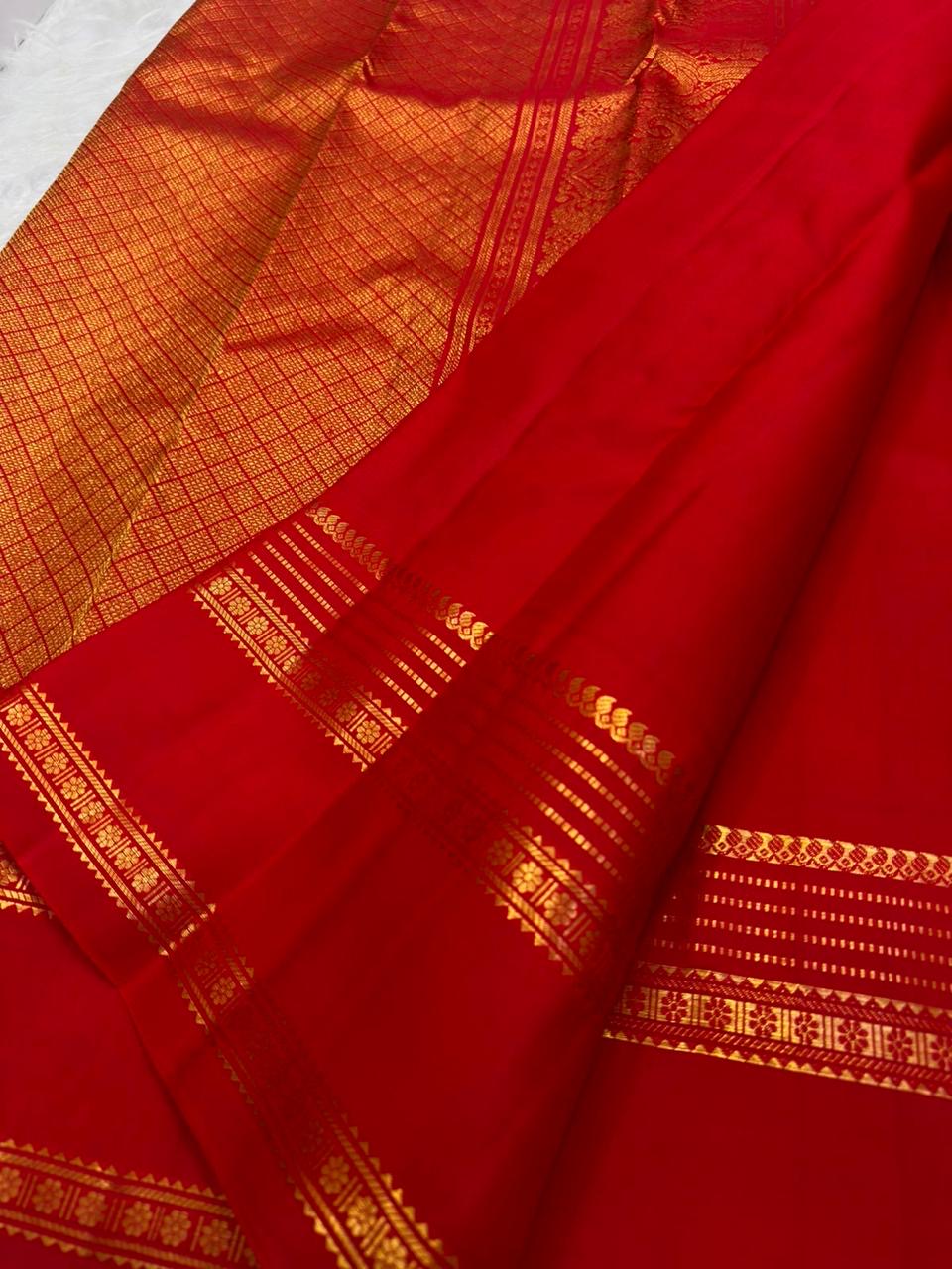 Close view of layered gold-zari geometric lines, floral bands and leaf-like edging on the red Rettapet border.