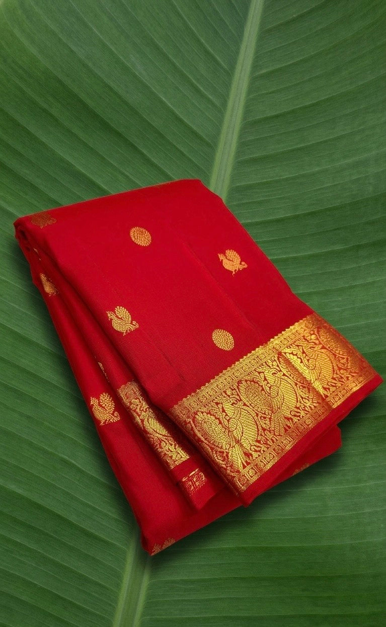 Vermillion red Kanchipuram silk saree with antique gold mayil border – front drape view
