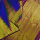 Vivid blue handwoven Kanchipuram pure silk saree with multi-colour ettukol border — Idam Living