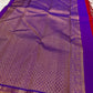 Full pallu spread in royal blue with dense gold zari weave and contrast border; available in the USA.