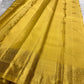 Close view of broad gold zari Kanchipuram border with detailed handwoven peacock motifs.